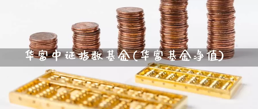 华富中证指数基金(华富基金净值)_https://www.lfyiying.com_股票分类_第1张