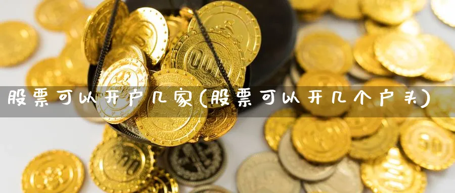 股票可以开户几家(股票可以开几个户头)_https://www.lfyiying.com_证券_第1张