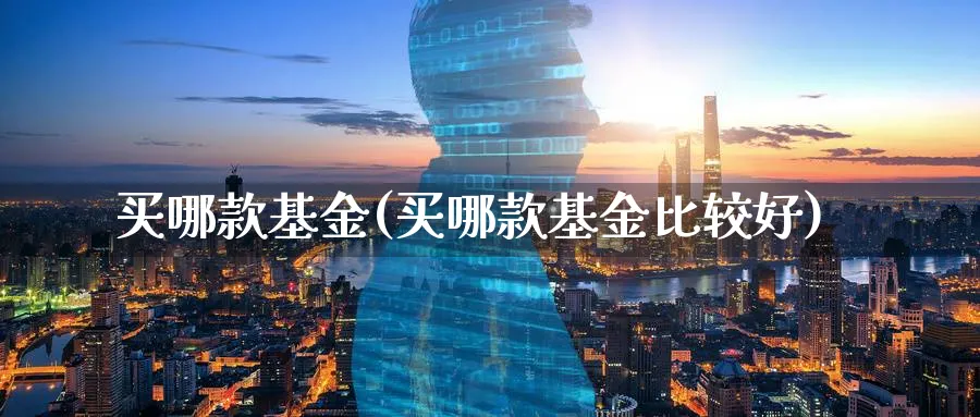 买哪款基金(买哪款基金比较好)_https://www.lfyiying.com_股票百科_第1张