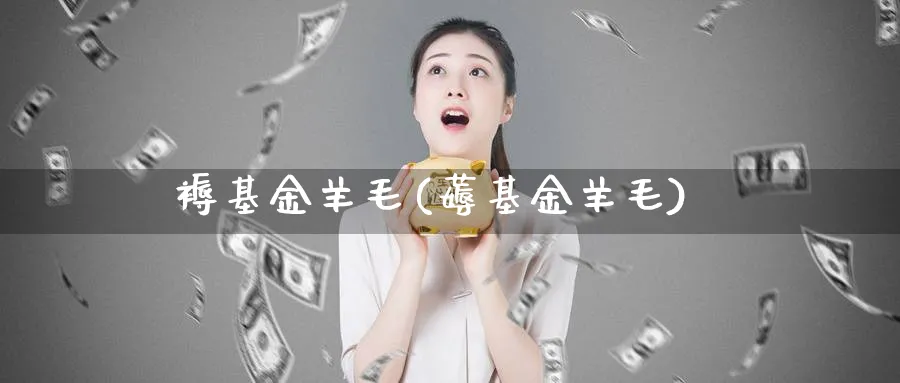 褥基金羊毛(薅基金羊毛)_https://www.lfyiying.com_股票百科_第1张