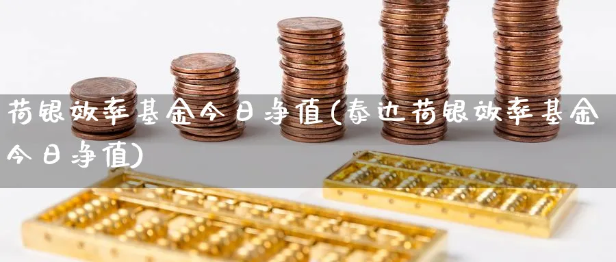 荷银效率基金今日净值(泰达荷银效率基金今日净值)_https://www.lfyiying.com_个股_第1张