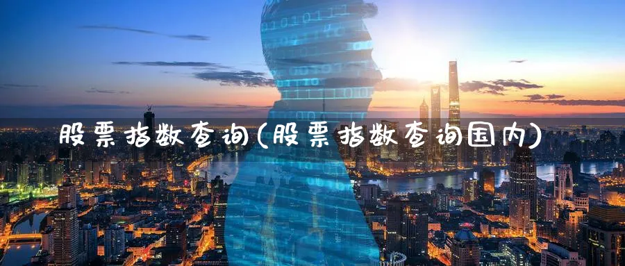 股票指数查询(股票指数查询国内)_https://www.lfyiying.com_股吧_第1张