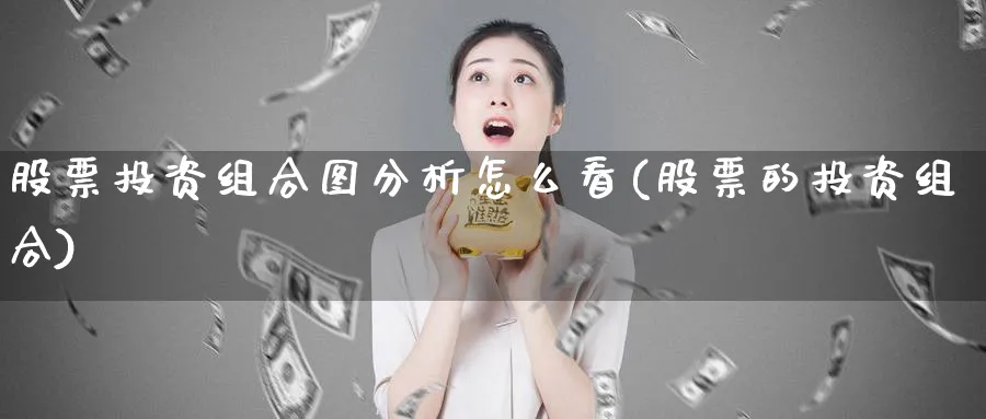 股票投资组合图分析怎么看(股票的投资组合)_https://www.lfyiying.com_美股_第1张