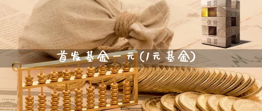 首发基金一元(1元基金)_https://www.lfyiying.com_股票百科_第1张