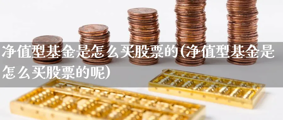 净值型基金是怎么买股票的(净值型基金是怎么买股票的呢)_https://www.lfyiying.com_证券_第1张