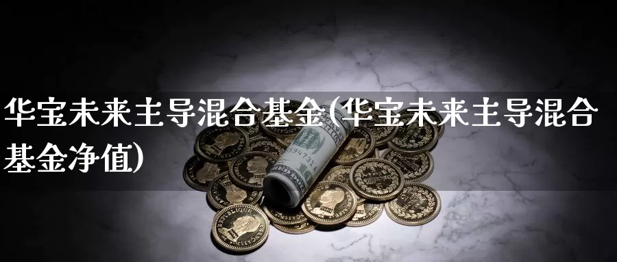 华宝未来主导混合基金(华宝未来主导混合基金净值)_https://www.lfyiying.com_个股_第1张