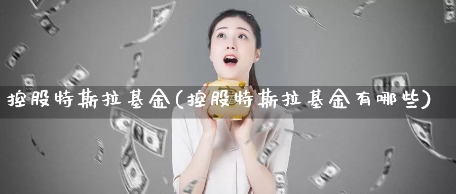 控股特斯拉基金(控股特斯拉基金有哪些)_https://www.lfyiying.com_股票百科_第1张