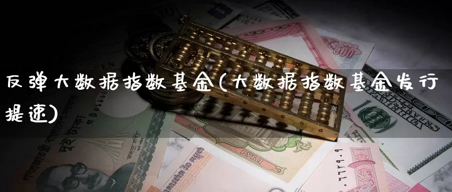 反弹大数据指数基金(大数据指数基金发行提速)_https://www.lfyiying.com_美股_第1张