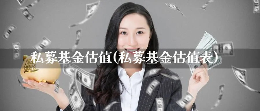 私募基金估值(私募基金估值表)_https://www.lfyiying.com_证券_第1张