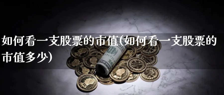 如何看一支股票的市值(如何看一支股票的市值多少)_https://www.lfyiying.com_个股_第1张