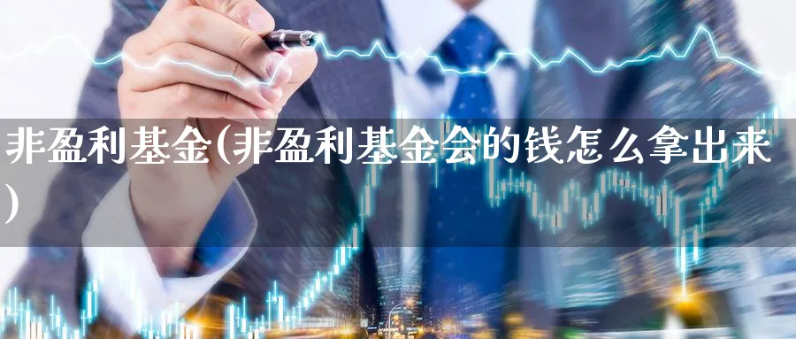 非盈利基金(非盈利基金会的钱怎么拿出来)_https://www.lfyiying.com_个股_第1张