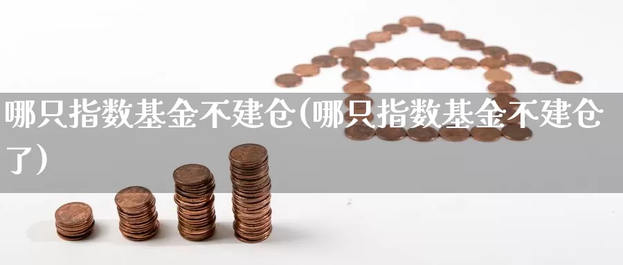 哪只指数基金不建仓(哪只指数基金不建仓了)_https://www.lfyiying.com_股吧_第1张