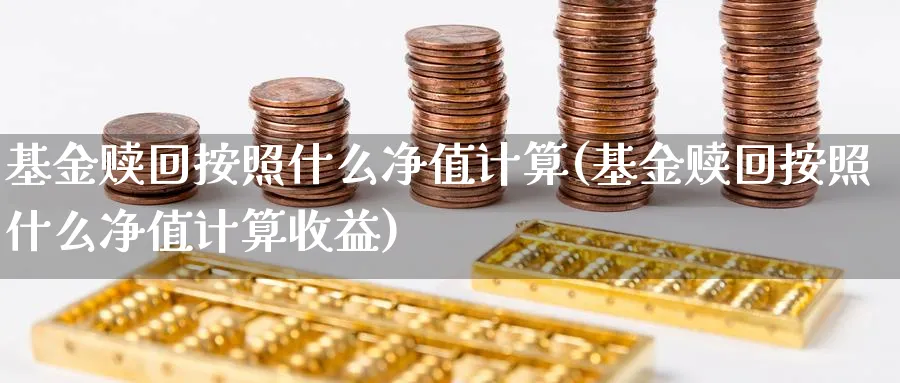 基金赎回按照什么净值计算(基金赎回按照什么净值计算收益)_https://www.lfyiying.com_港股_第1张