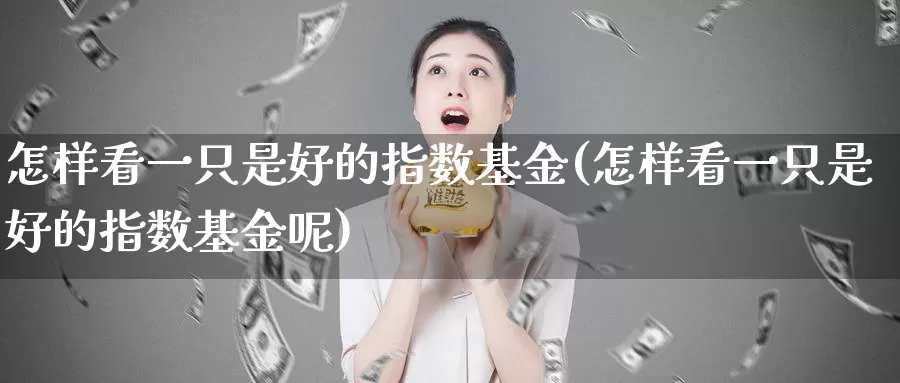 怎样看一只是好的指数基金(怎样看一只是好的指数基金呢)_https://www.lfyiying.com_港股_第1张