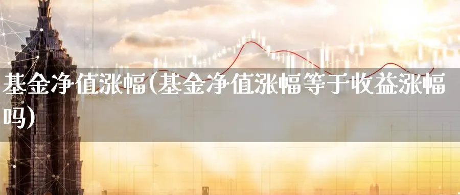 基金净值涨幅(基金净值涨幅等于收益涨幅吗)_https://www.lfyiying.com_股票百科_第1张