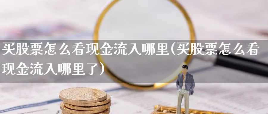 买股票怎么看现金流入哪里(买股票怎么看现金流入哪里了)_https://www.lfyiying.com_证券_第1张