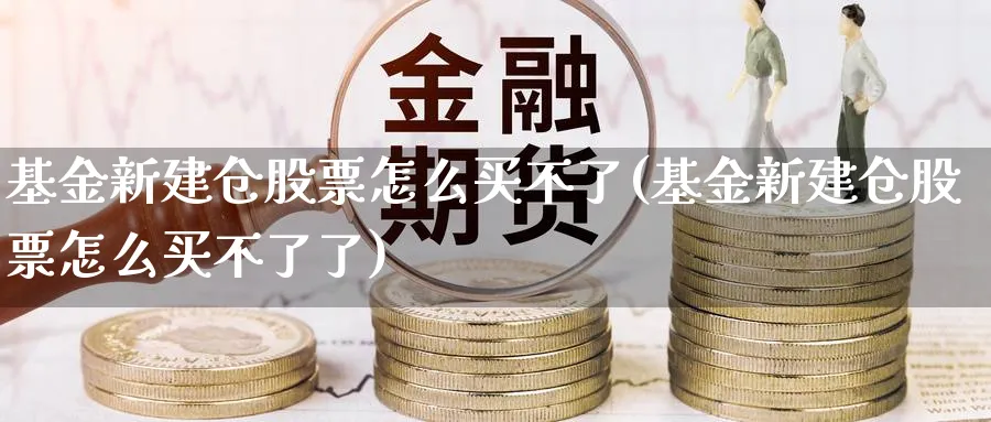 基金新建仓股票怎么买不了(基金新建仓股票怎么买不了了)_https://www.lfyiying.com_股票分类_第1张