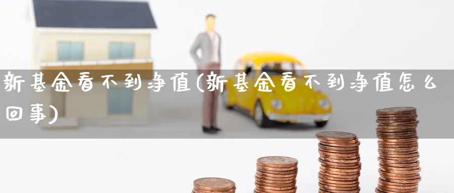 新基金看不到净值(新基金看不到净值怎么回事)_https://www.lfyiying.com_证券_第1张