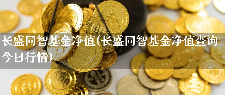 长盛同智基金净值(长盛同智基金净值查询今日行情)_https://www.lfyiying.com_股票百科_第1张