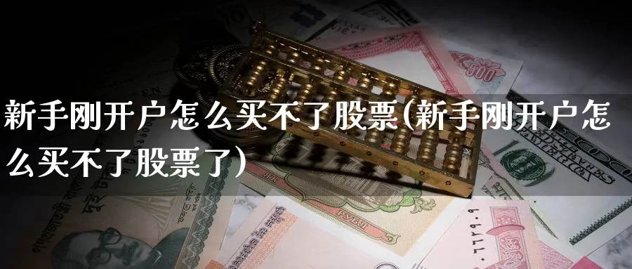 新手刚开户怎么买不了股票(新手刚开户怎么买不了股票了)_https://www.lfyiying.com_美股_第1张