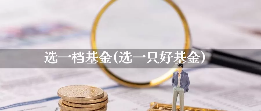 选一档基金(选一只好基金)_https://www.lfyiying.com_股票百科_第1张