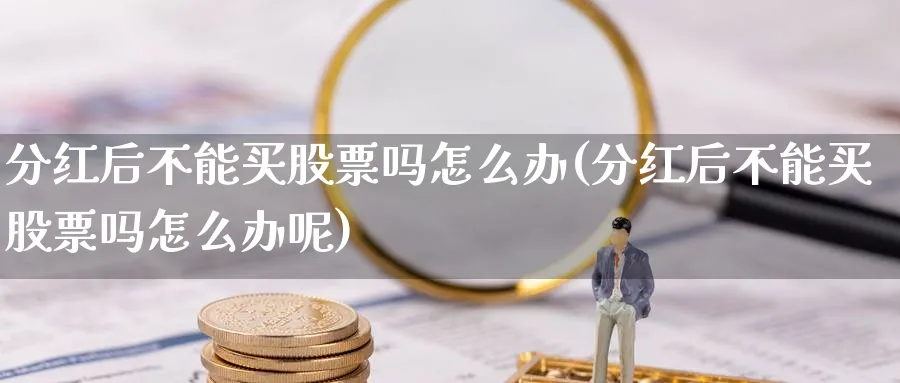 分红后不能买股票吗怎么办(分红后不能买股票吗怎么办呢)_https://www.lfyiying.com_个股_第1张