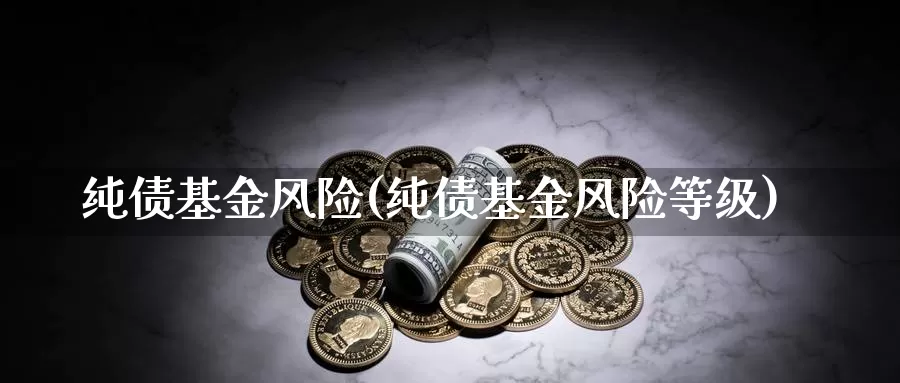 纯债基金风险(纯债基金风险等级)_https://www.lfyiying.com_美股_第1张