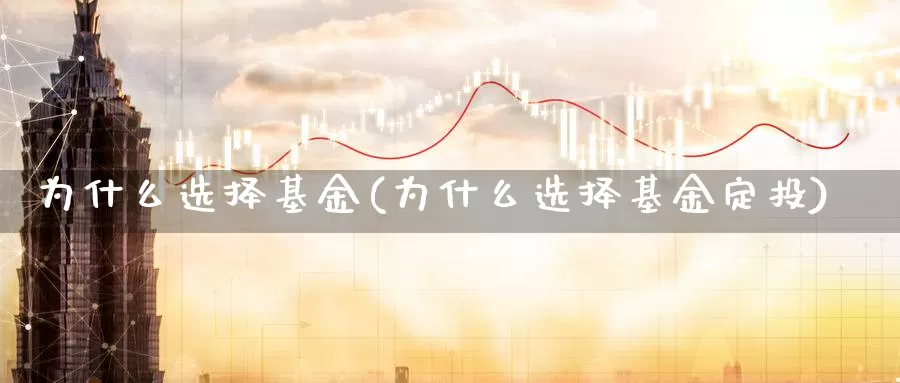 为什么选择基金(为什么选择基金定投)_https://www.lfyiying.com_美股_第1张