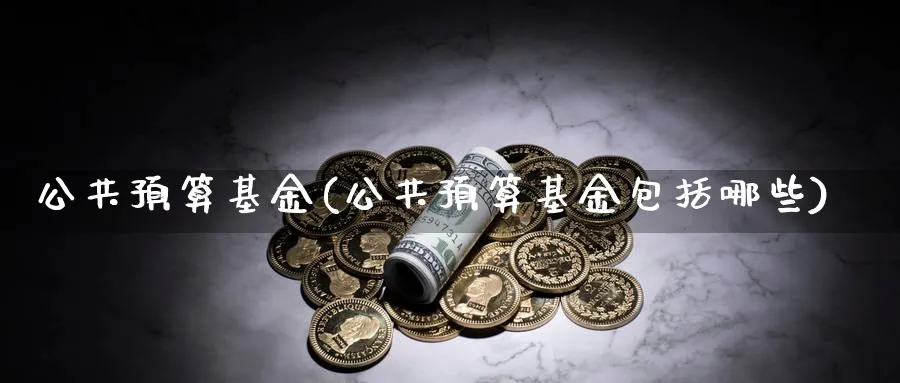 公共预算基金(公共预算基金包括哪些)_https://www.lfyiying.com_股吧_第1张