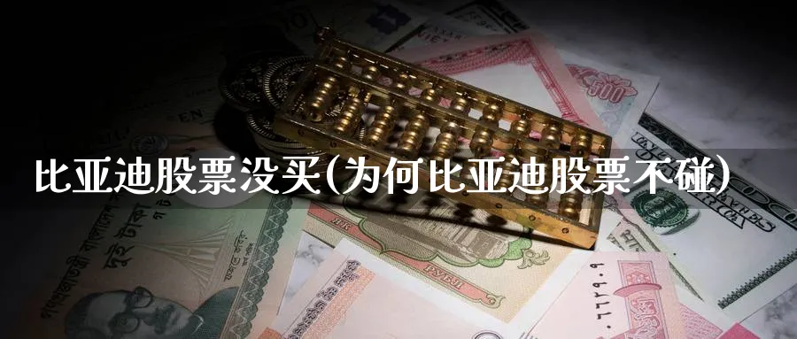 比亚迪股票没买(为何比亚迪股票不碰)_https://www.lfyiying.com_个股_第1张