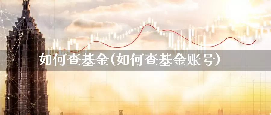 如何查基金(如何查基金账号)_https://www.lfyiying.com_美股_第1张