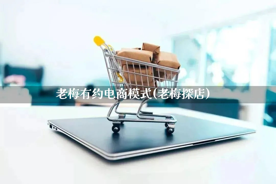 老梅有约电商模式(老梅探店)_https://www.lfyiying.com_股票百科_第1张