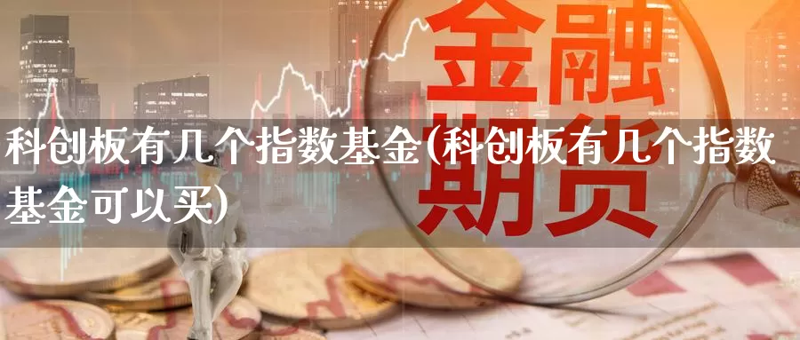 科创板有几个指数基金(科创板有几个指数基金可以买)_https://www.lfyiying.com_证券_第1张