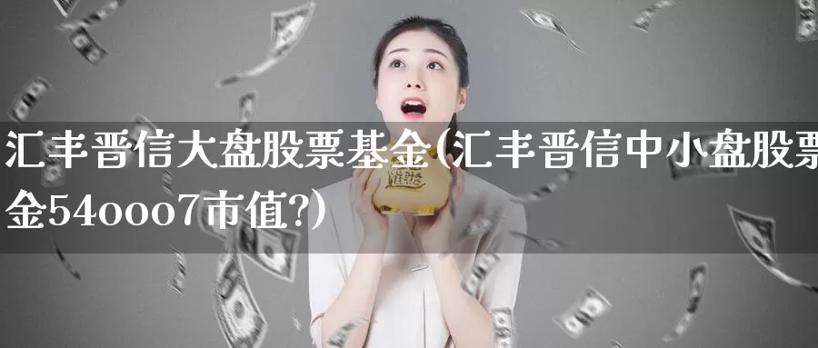 汇丰晋信大盘股票基金(汇丰晋信中小盘股票基金54ooo7市值?)_https://www.lfyiying.com_股票百科_第1张