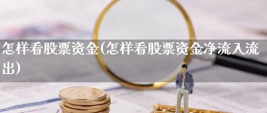 怎样看股票资金(怎样看股票资金净流入流出)_https://www.lfyiying.com_股票分类_第1张