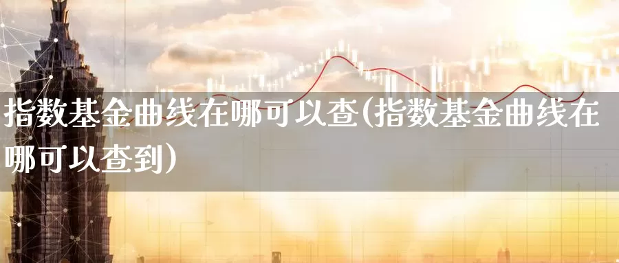 指数基金曲线在哪可以查(指数基金曲线在哪可以查到)_https://www.lfyiying.com_股票分类_第1张