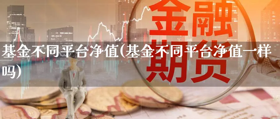 基金不同平台净值(基金不同平台净值一样吗)_https://www.lfyiying.com_股票分类_第1张