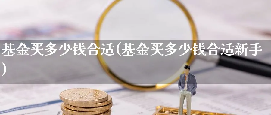 基金买多少钱合适(基金买多少钱合适新手)_https://www.lfyiying.com_港股_第1张