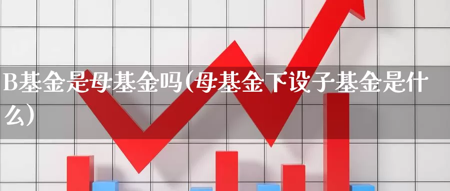 B基金是母基金吗(母基金下设子基金是什么)_https://www.lfyiying.com_美股_第1张