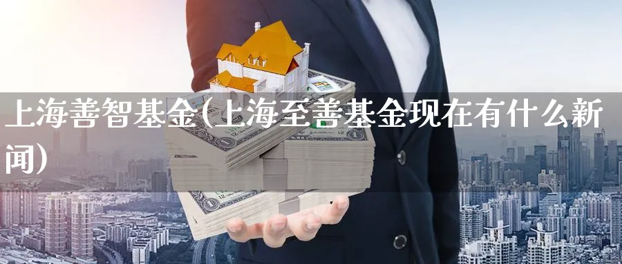 上海善智基金(上海至善基金现在有什么新闻)_https://www.lfyiying.com_港股_第1张