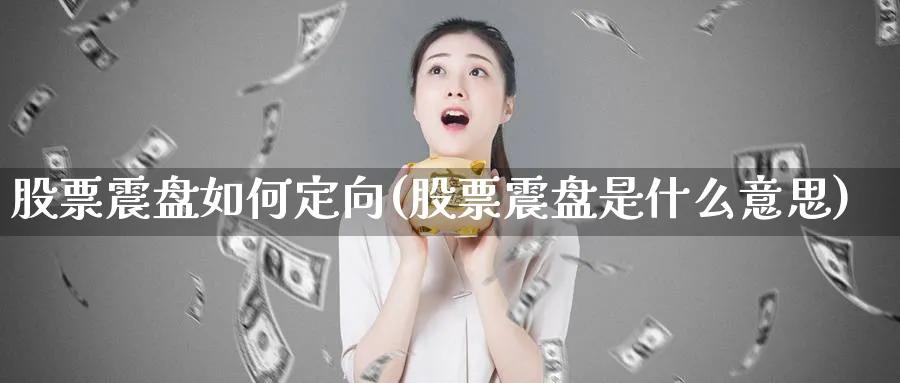 股票震盘如何定向(股票震盘是什么意思)_https://www.lfyiying.com_股票百科_第1张