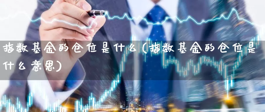 指数基金的仓位是什么(指数基金的仓位是什么意思)_https://www.lfyiying.com_个股_第1张