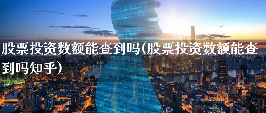 股票投资数额能查到吗(股票投资数额能查到吗知乎)_https://www.lfyiying.com_股票百科_第1张