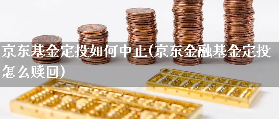 京东基金定投如何中止(京东金融基金定投怎么赎回)_https://www.lfyiying.com_港股_第1张