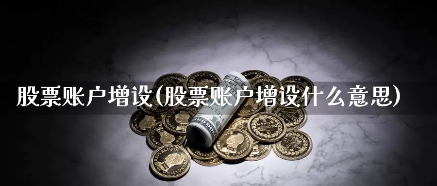 股票账户增设(股票账户增设什么意思)_https://www.lfyiying.com_股票百科_第1张