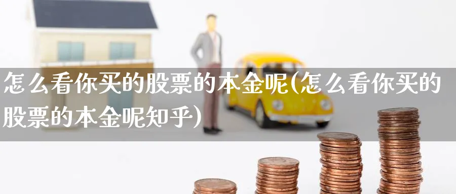 怎么看你买的股票的本金呢(怎么看你买的股票的本金呢知乎)_https://www.lfyiying.com_港股_第1张