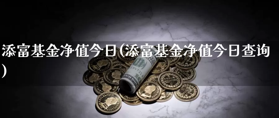 添富基金净值今日(添富基金净值今日查询)_https://www.lfyiying.com_美股_第1张