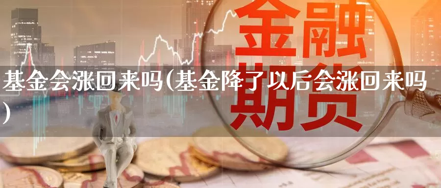 基金会涨回来吗(基金降了以后会涨回来吗)_https://www.lfyiying.com_证券_第1张