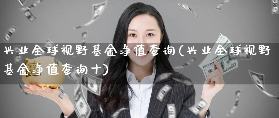 兴业全球视野基金净值查询(兴业全球视野基金净值查询十)_https://www.lfyiying.com_港股_第1张