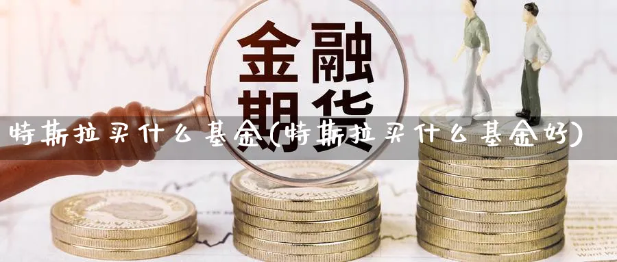 特斯拉买什么基金(特斯拉买什么基金好)_https://www.lfyiying.com_股票分类_第1张